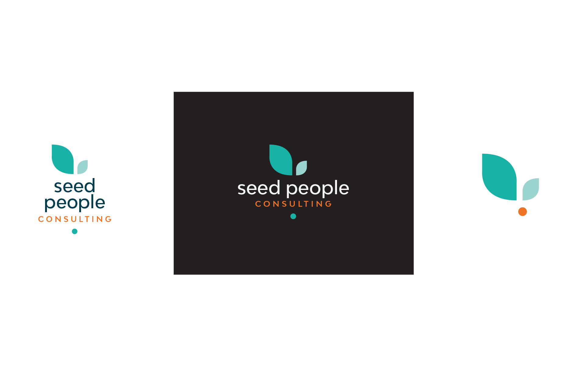Seed People Consulting rebrand designed by Amy at Yellow Sunday